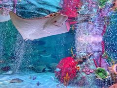 -沈阳海洋探索中心