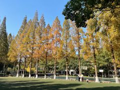 -苏州大学(天赐庄校区)