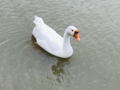 -木兰水镇旅游景区