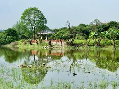 -鹤之洲湿地公园