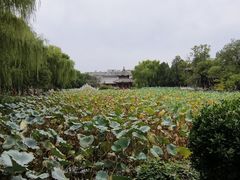 -莲池书院博物馆
