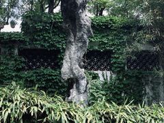 -惠山古镇·寄畅园