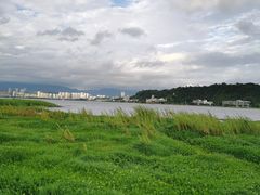 -洱海月湿地公园