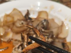 -周家二小姐的菜·扬州菜·香炒蟹·狮子头(江都金鹰店)