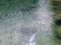 -石台牯牛降景区