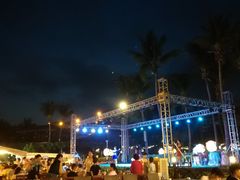 -渔家火锅·海鲜自助餐·演艺(亚龙湾天域酒店)