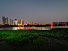 -洛龙公园