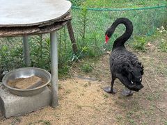 -华东政法大学(松江校区)