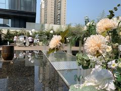 -当米亚诺意大利餐厅(武汉光谷凯悦酒店)