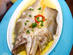 花雕醉黄鱼-寻宝记绍兴菜(鲁迅路店)