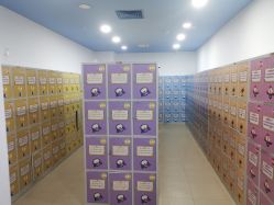 -啵乐乐儿童主题乐园(北京旗舰店)