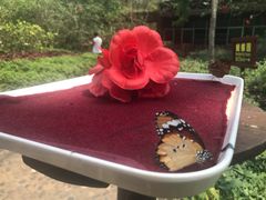 -满记甜品(巴黎春天宝山店)