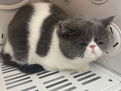 -FAELING PETS美天灵宠物(富力广场店)