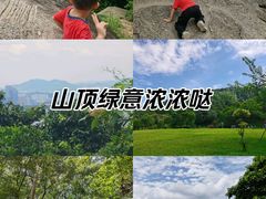 -火炉山森林公园