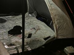 -洋湖国家湿地公园