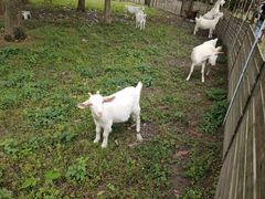 -杭州师范大学(下沙校区)