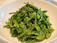 山胡椒油拌丝瓜尖-丹江渔村(望京店)