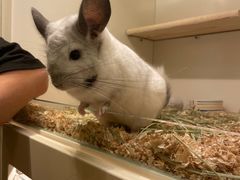 -龙猫仔乐园(惠福东路店)