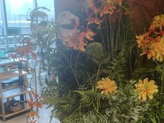 -喃喃椰·糟粕醋·椰子鸡火锅(七堡花园店)