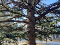 -国家植物园南园