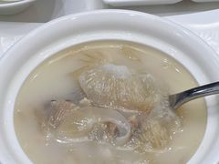 浓汤鱼翅-广州塔晖粤轩中餐厅