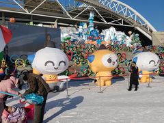 -沈阳奥体冰雪嘉年华