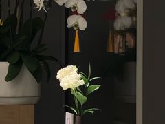 -茹·pure vegan(博华广场店)
