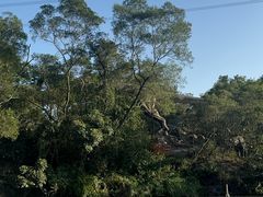 -清境桃源