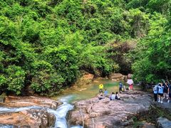 -广州白江湖森林公园