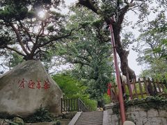 -崂山仰口游览区
