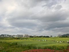 -光明小镇欢乐田园