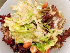 蔬菜色拉-很久以前羊肉串(大华三路店)