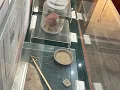 -广州神农草堂中医药博物馆