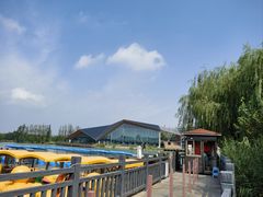 -上海长兴岛郊野公园