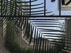 -漫笙舍Manse·咖啡·民宿