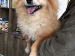 -萌兽医馆·绝育·24小时内科·宠物医院(德胜店)