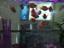 -成都军建医院·疤痕诊疗中心