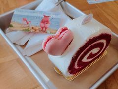 红丝绒-WHEN PIGS FLY当猪飞
