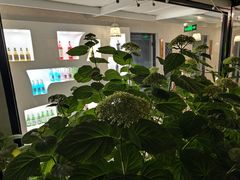 -潇湘·永州会馆(百子湾店)