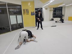 -勇气斑马·巴西柔术&跆拳道(浦东三林店)