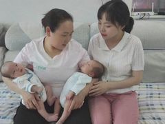 -田螺阿姨自营月嫂·育儿嫂(高新店)