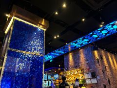 -bluefrog蓝蛙(皇庭广场店)