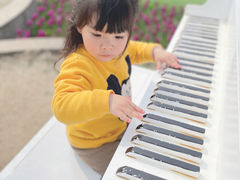 -杭州湾海上花田景区