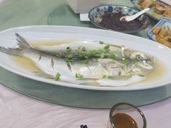 清蒸白丝鱼-芸海阁·农家私房菜(沙家浜景区出口店)