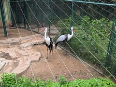 -大连森林动物园