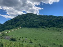 -白草畔自然风景区