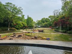 -苏州阳澄湖澜廷酒店-有景阁中餐厅