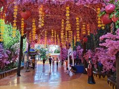 -北京欢乐谷