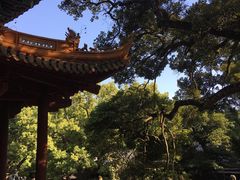 -普陀山风景名胜区-法雨禅寺