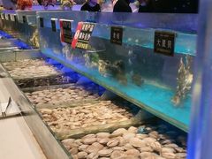 -SEA西雅图海鲜自助餐厅(海乐世界店)